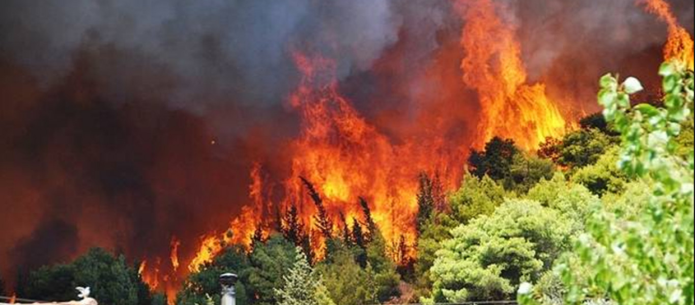 Φωτιά σε δασική έκταση στην περιοχή Γεράκι Ηλείας (φωτό)